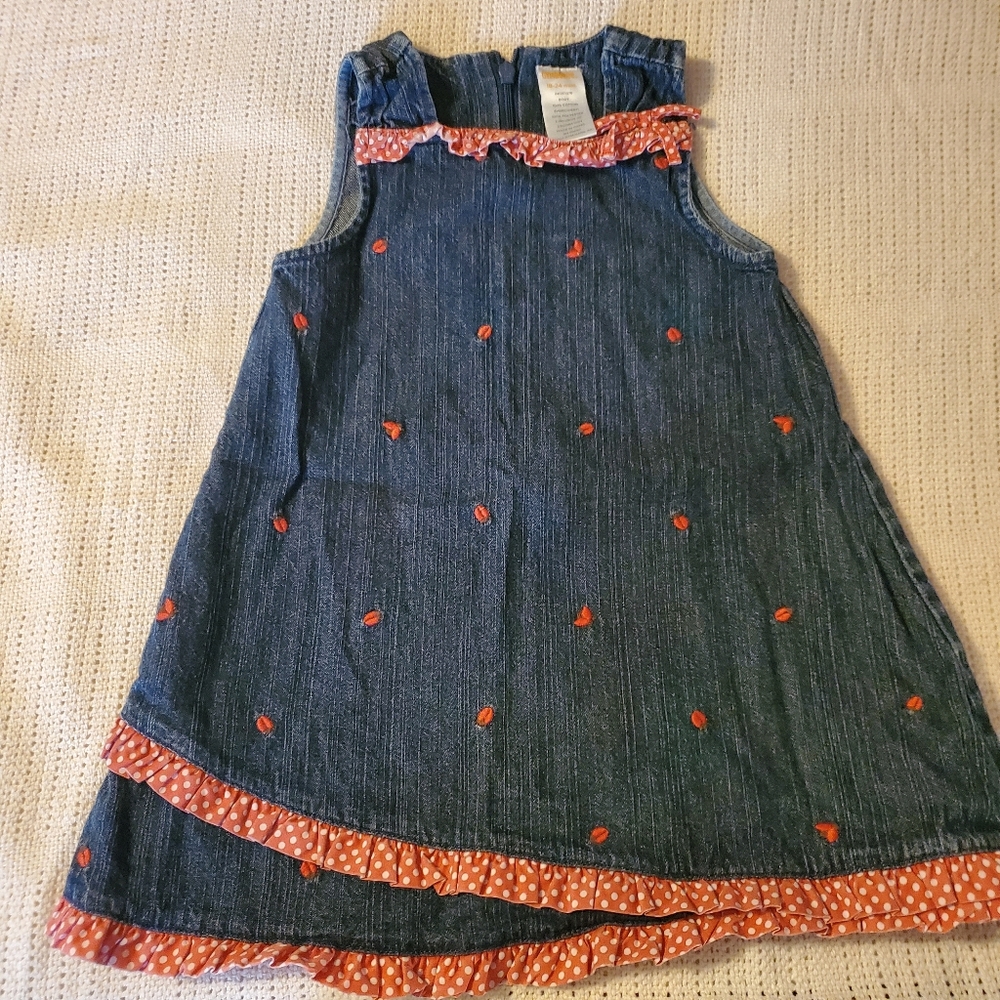 18-24m denim dress